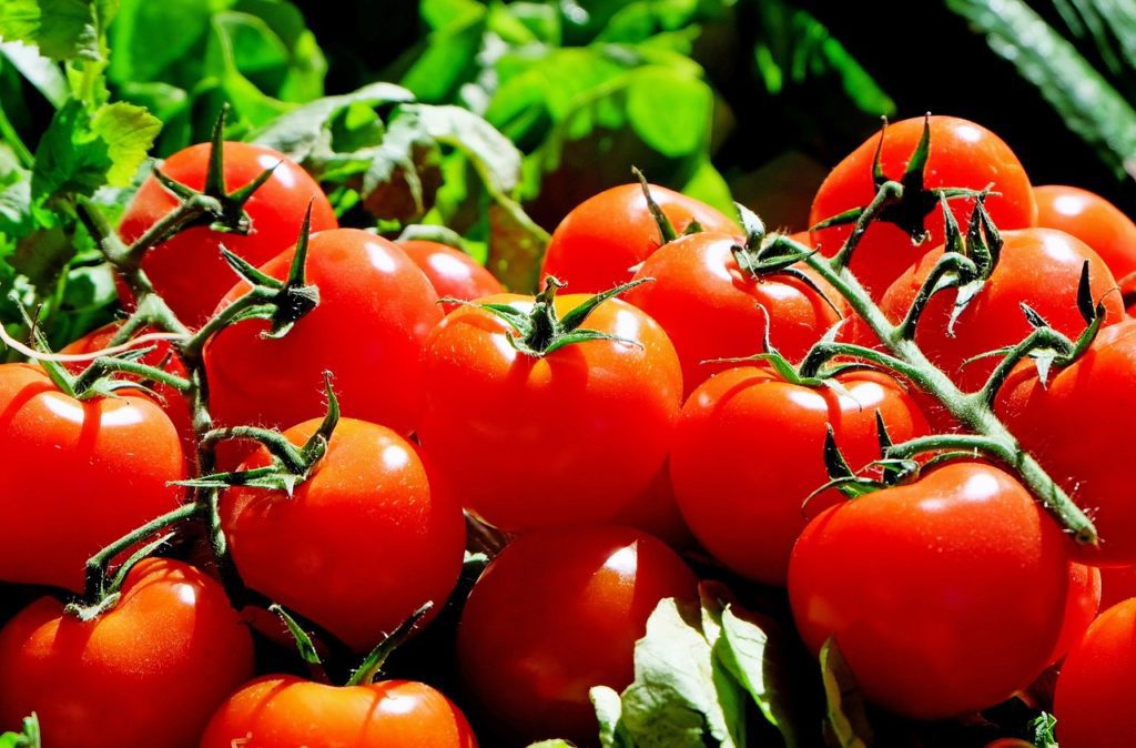 Цінність і використання томату