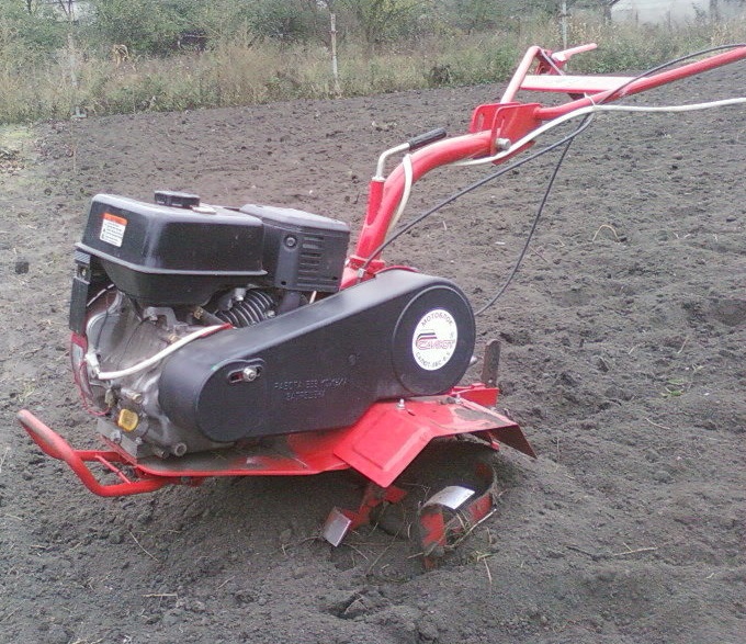Обработка почвы при выращивании томата 