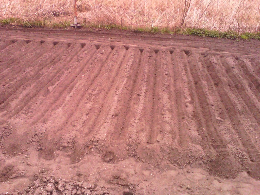 Припосевная обработка почвы