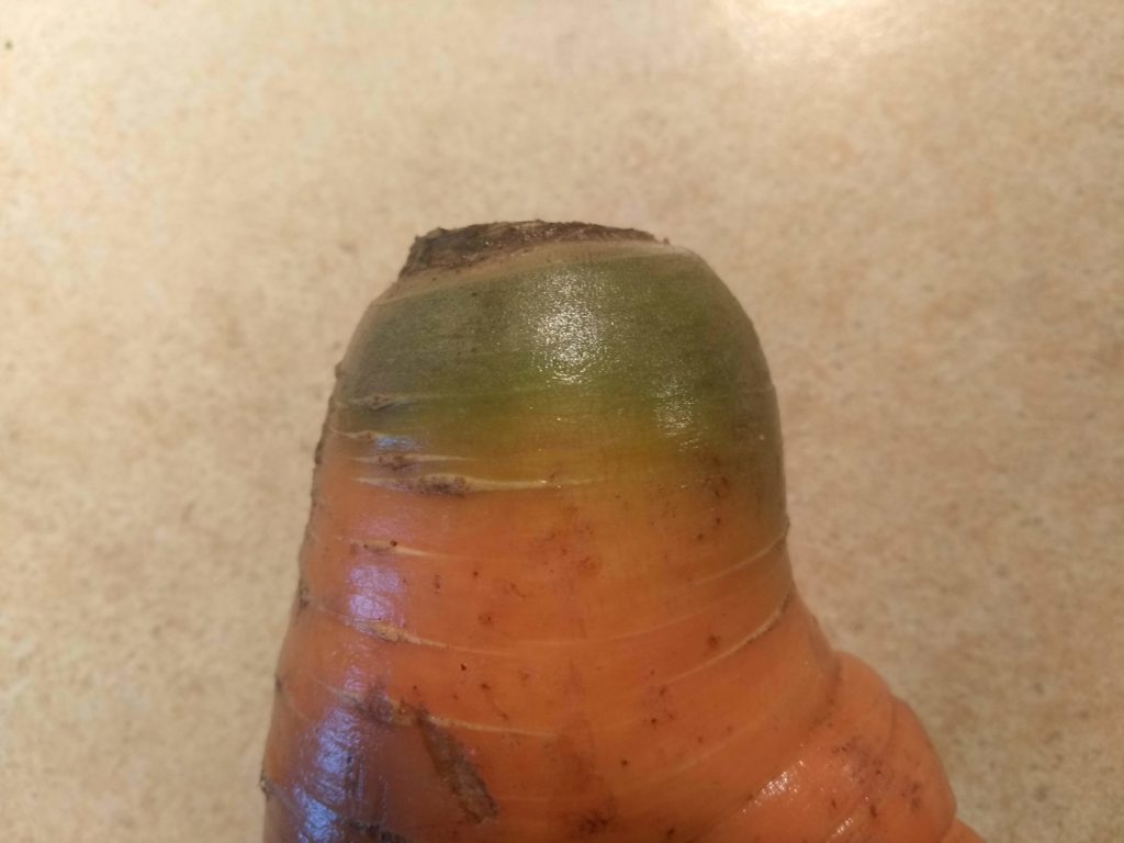 Окучивание моркови