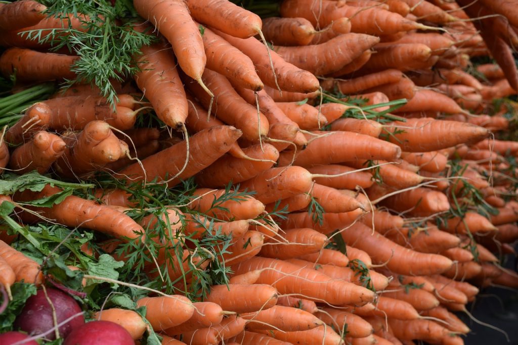 Догляд за морквою