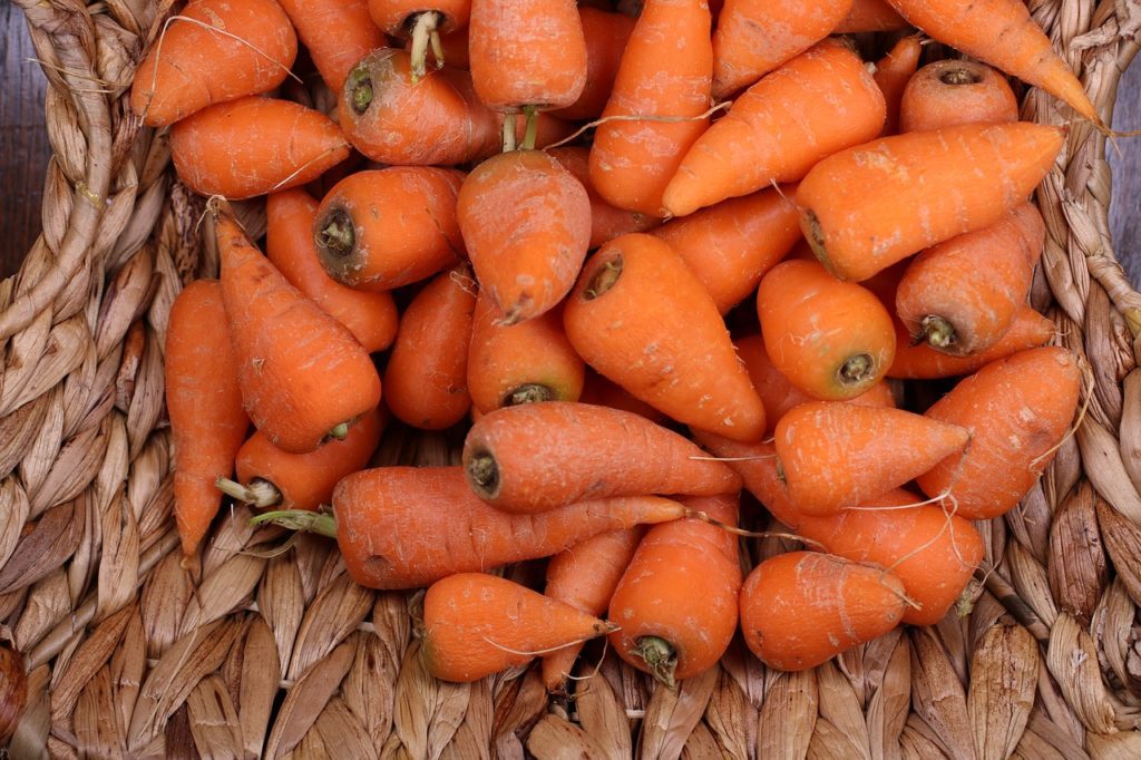 Сортотип моркви Шантане