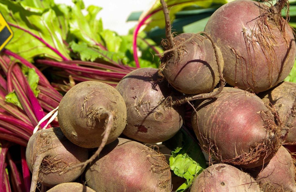 Вирощування столового буряка