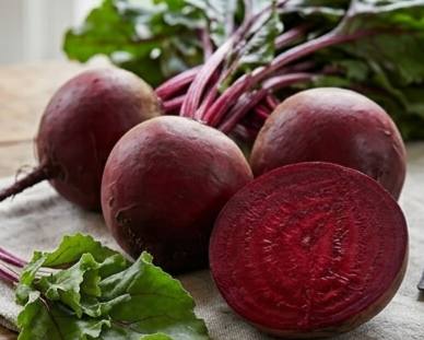 Сорт столового буряка Червона куля