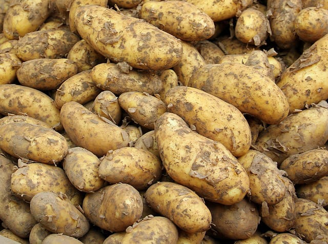 Зберігання картоплі