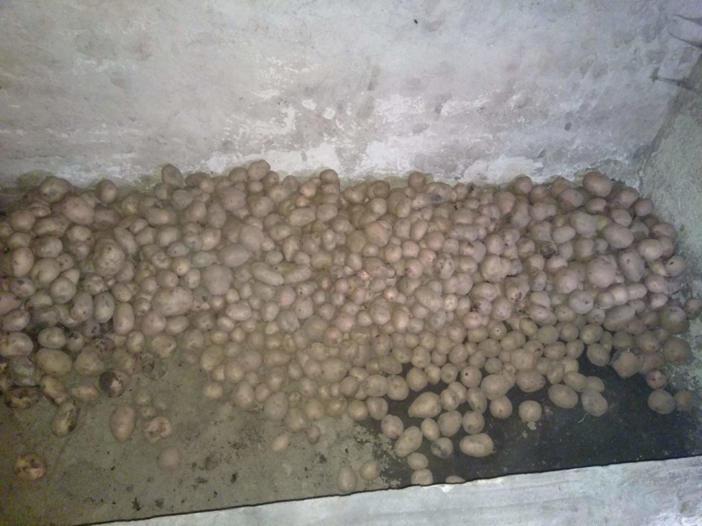 Зберігання картоплі