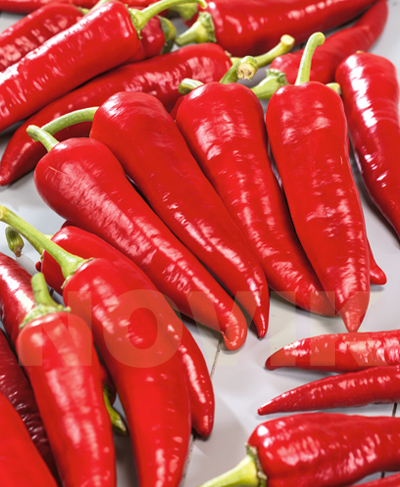 Перец Украинский Горький