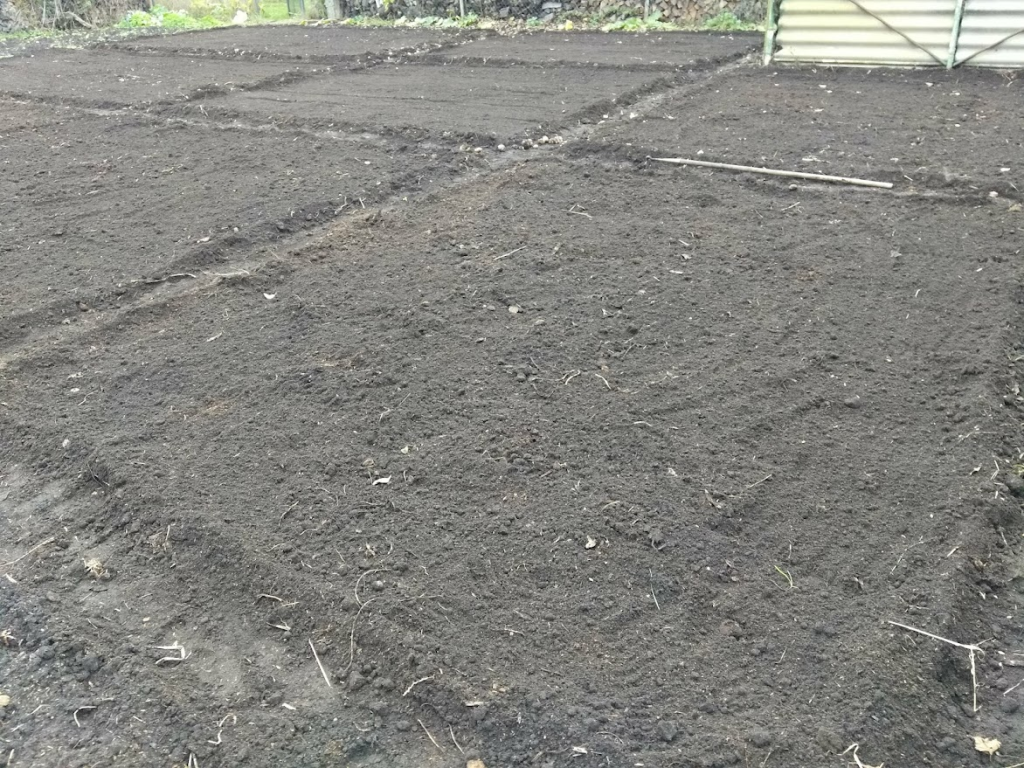 Грядки под лук тщательно готовят еще с осени