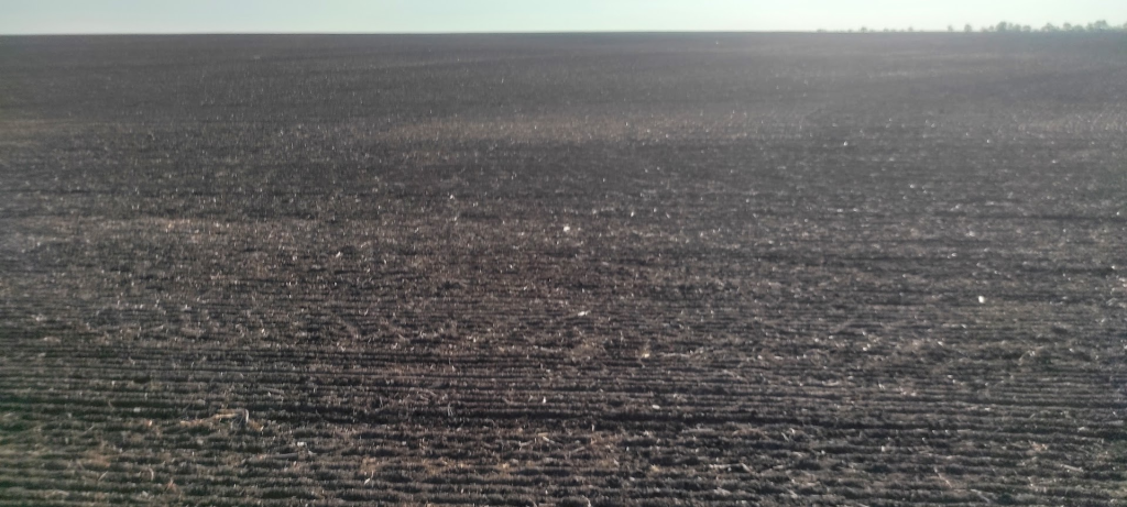 Содержание поля под паром