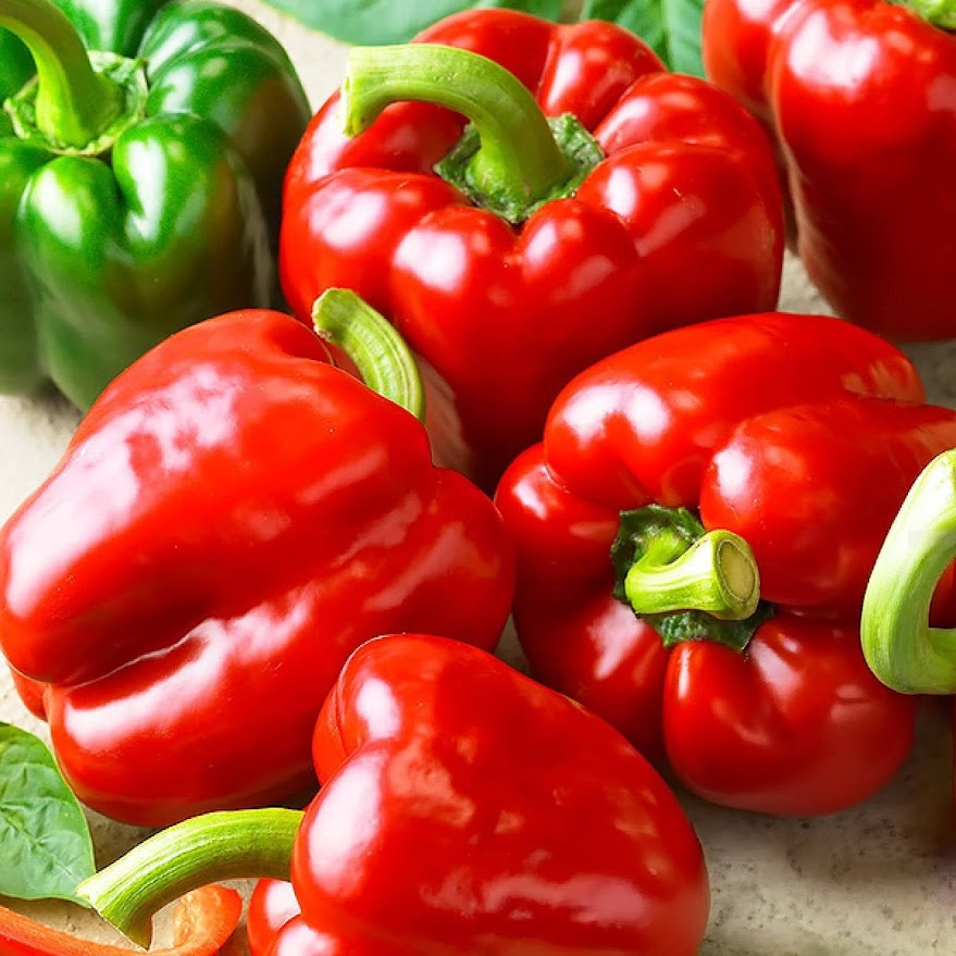 Перец сладкий Клаудио F1