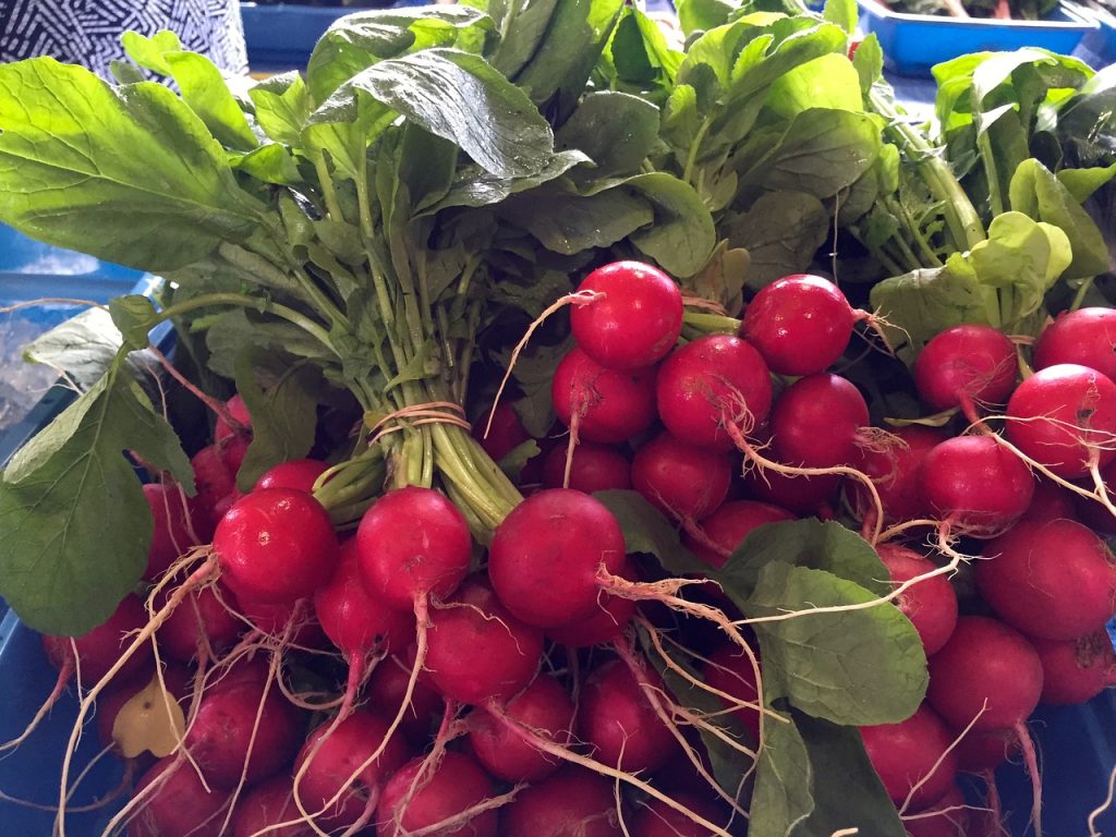 Літній посів овочевих культур